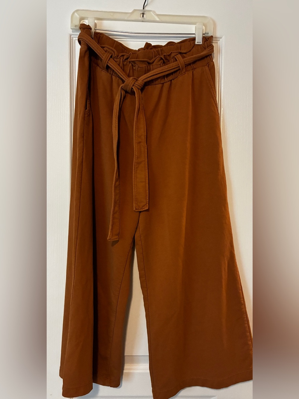 bp Wide Leg Paperbag Waist Pants in Rust Brown